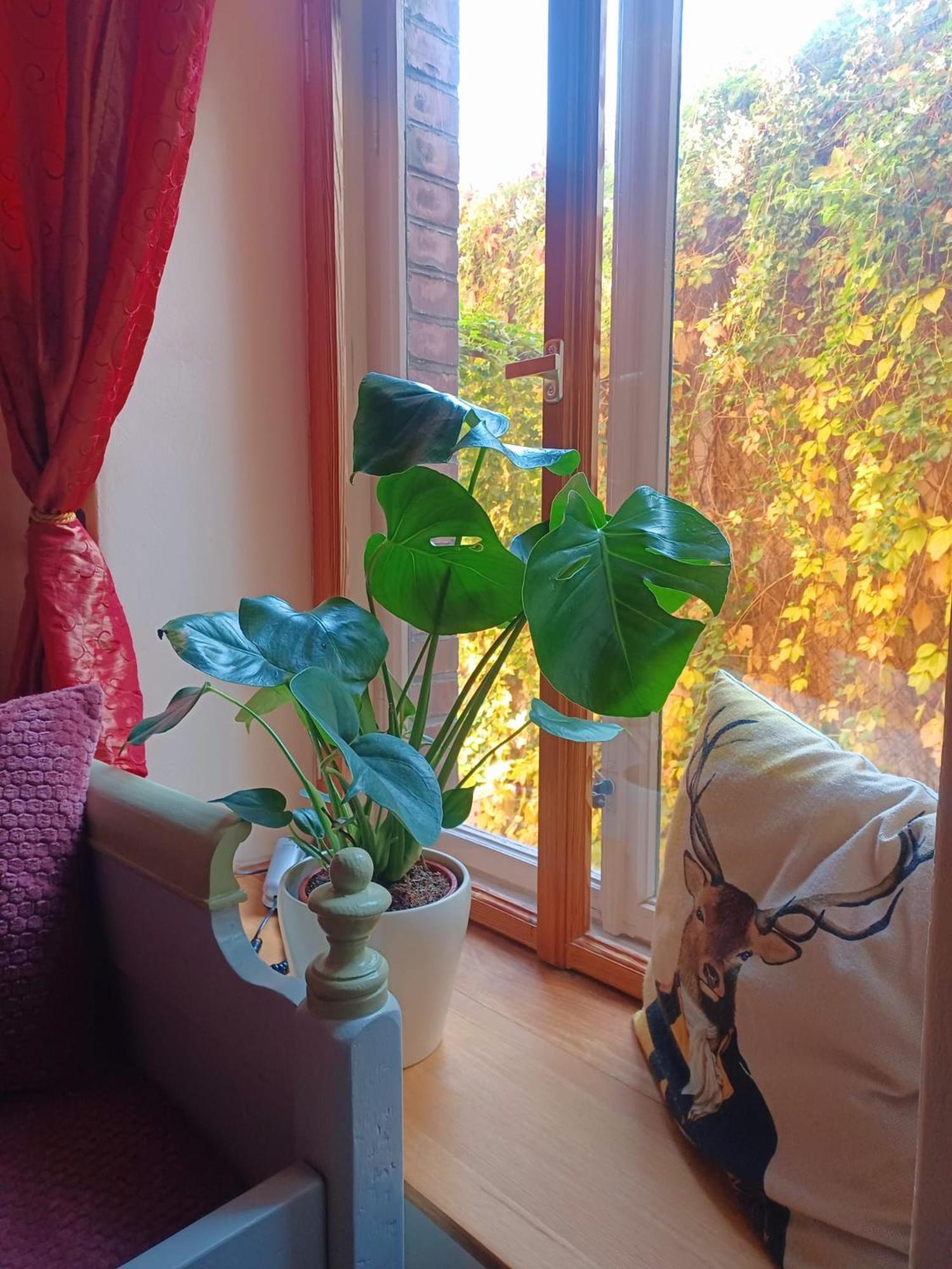 Ferienwohnung Antik โกทา ภายนอก รูปภาพ